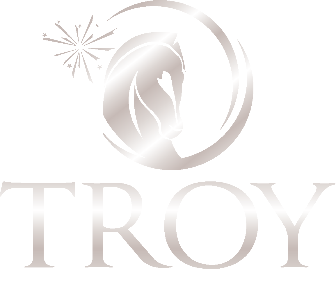 TROY Fireworks International