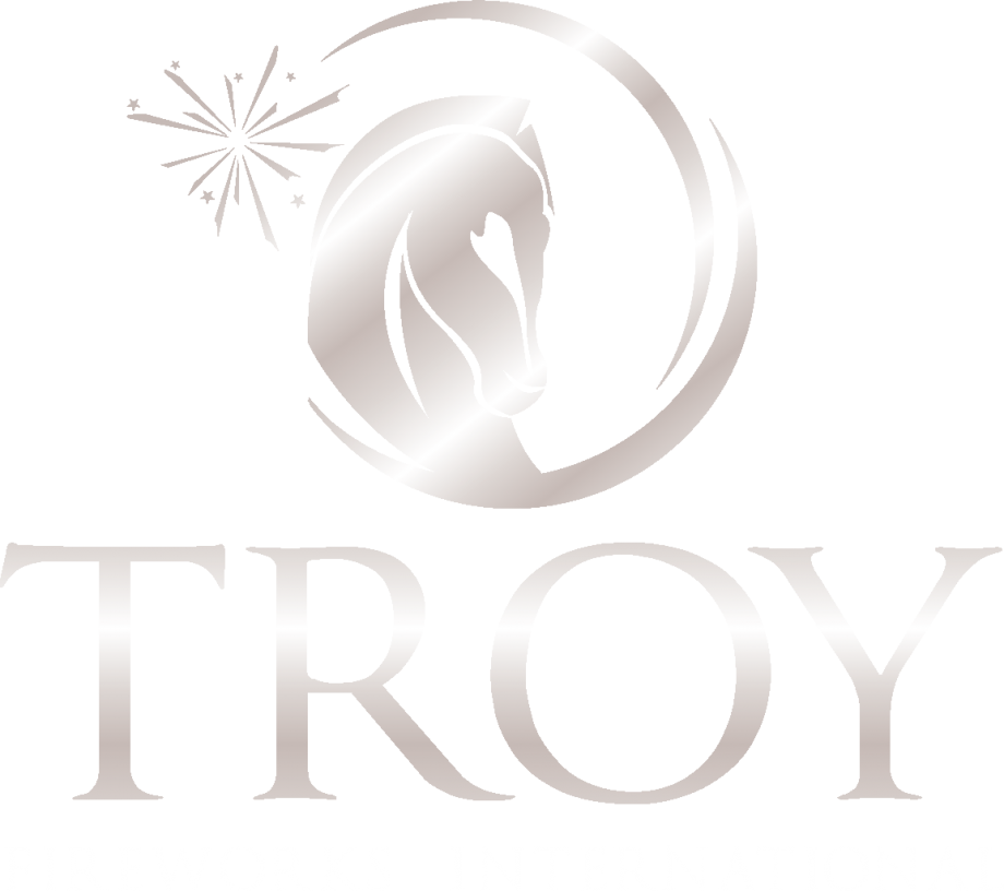 TROY Fireworks International